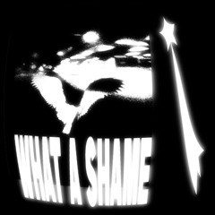 what a shame (bloodcryy x flesh)