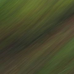 Becoming Sensor pt. III. Allison Cameron, Natasha Myers, Ayelen Liberona