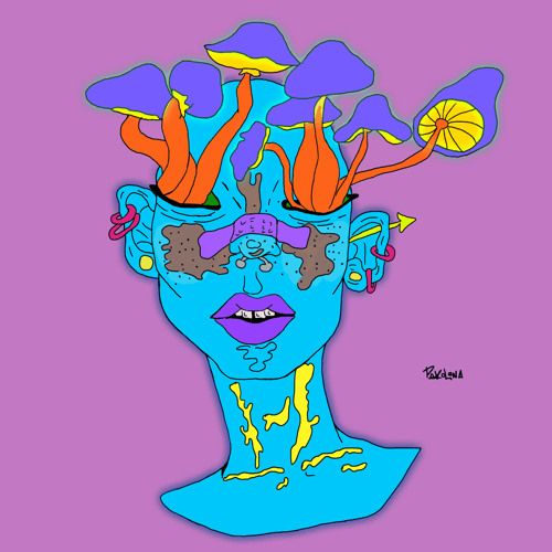 Maxxx