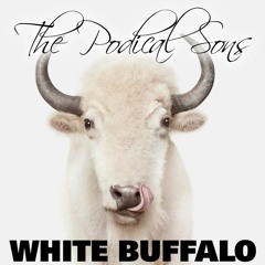 Episode 222 - White Buffalo