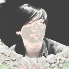 曲名 多次元制御機構よだか