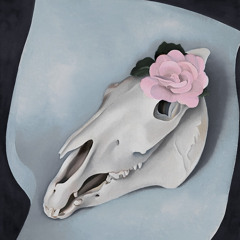 Show must go on [feat.ensemblevide]