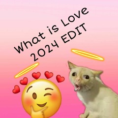 What Is Love - DJ CS EDIT