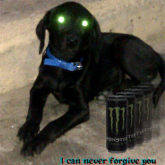 i can never forgive you (because i can never forgive myself)
