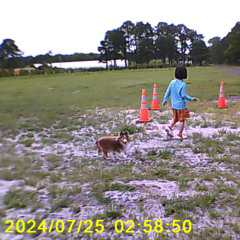 잔향 (with Go stop)