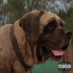 500Prblms - BIG Dog Remix (feat. Jasen)