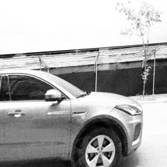 Car Alarm (Reprise)