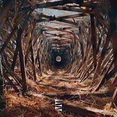 BAAUER - LMLU (Sigilized by Carbon Sigil)