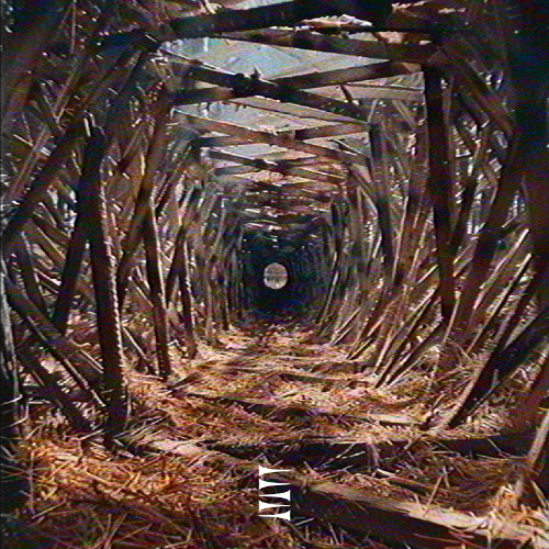 BAAUER - LMLU (Sigilized by Carbon Sigil)