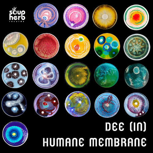 [SNIPPET] _DEE_(IN)_-_Humane_Membrane_(_Original_Mix_)