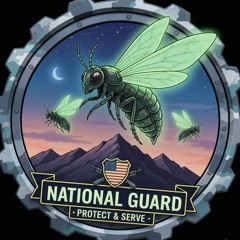 National Guard Fireflies