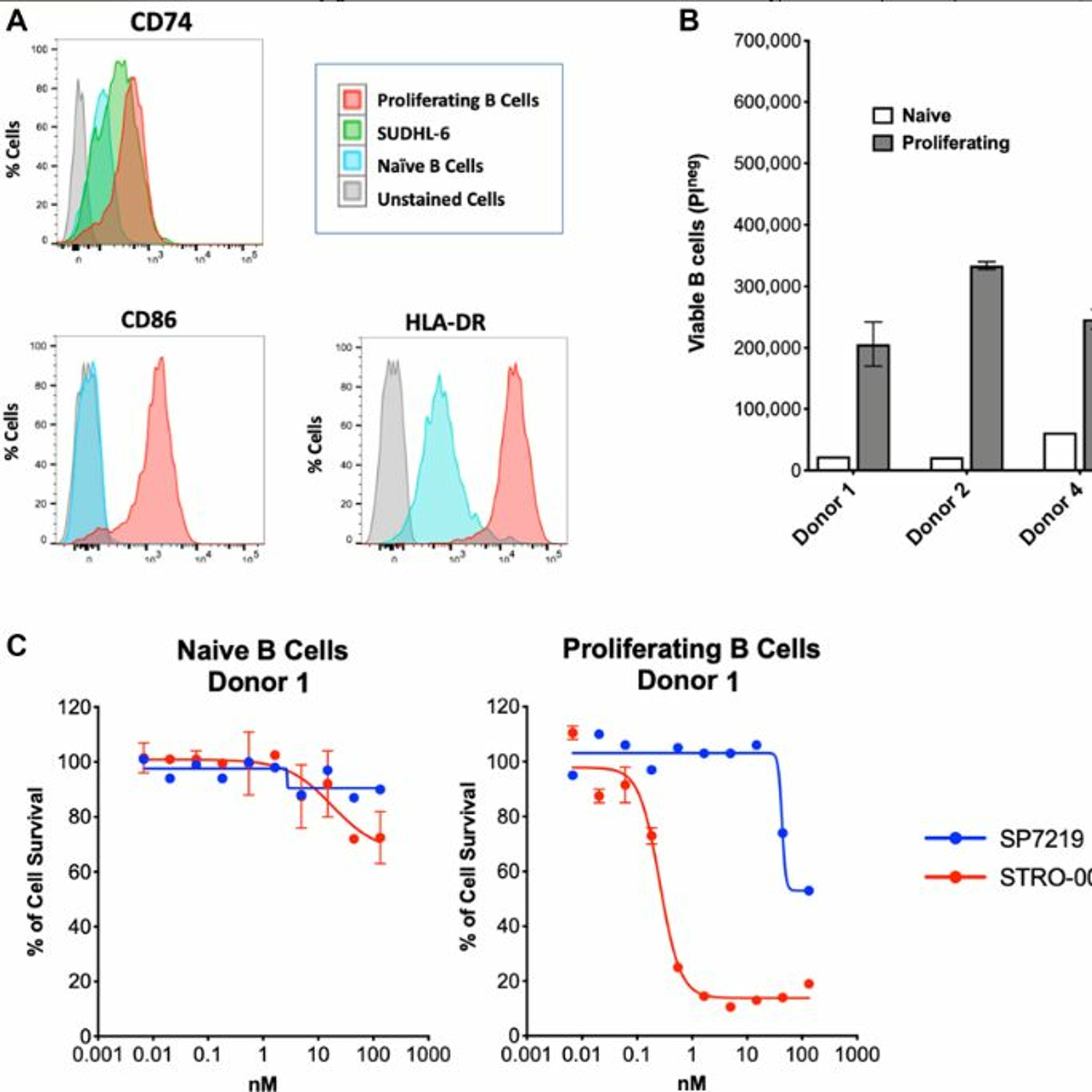 Oncotarget