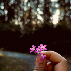 Kahs Negative 🔥❣️  LillyM🌺