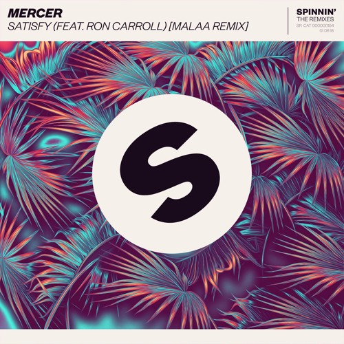 Satisfy (feat. Ron Carroll) [Malaa Extended Remix]