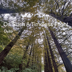 on such a timeless flight