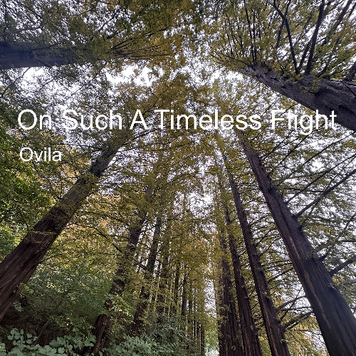 on such a timeless flight