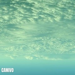 CANIVO - Panic