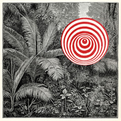 So Don (feat. Alexander Zethson & Johan Berthling)