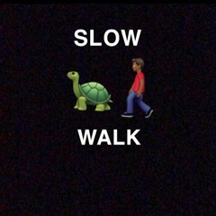 Slow Walk Wit It feat TDilly