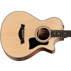 Taylor 312ce 12-Fret jam