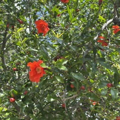 not no more! ;D {prod iggy}