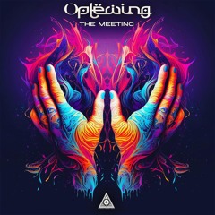 Oplewing - The Meeting (original Mix)