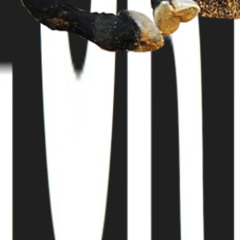 Binaural study beat -