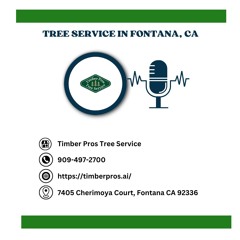 what-happens-if-a-tree-falls-on-my-home-in-fontana-ca