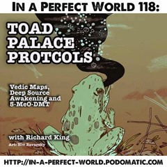 118. The Toad Palace Protocols