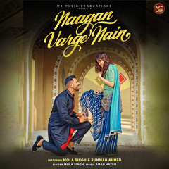 Naagan Varge Nain (feat. Rumman Ahmed)