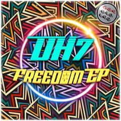 HOTDIGIT102 DH7 - Freedom EP (Previews)
