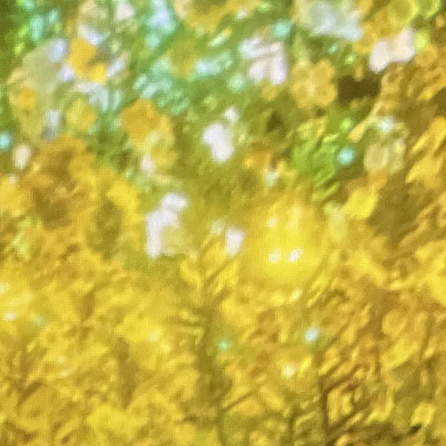 당신