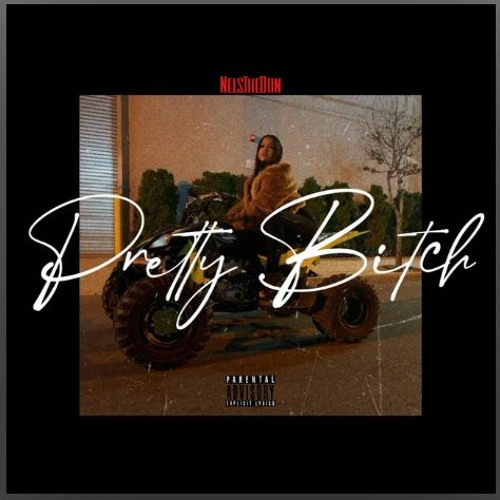 Crouching Tiger, Pretty Bitch - Mashup