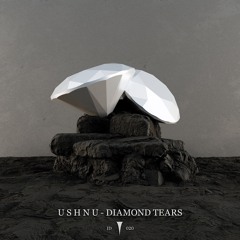 PREMIERS - U S H N U - Diamond Tears [Infinite Depth] EP