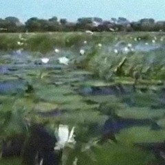 ˢᵘⁿˢʰᶦⁿᵉ
