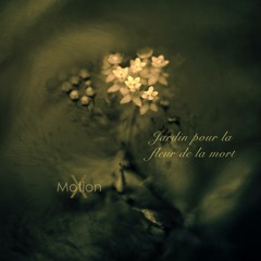 Motion X - Garden for the Flower of Death (Video Link)