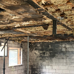 spitin dust  - 1_27_23, 4.08 PM