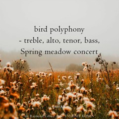 Spring meadow concert [naviarhaiku495]