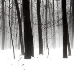 nothing's gonna hurt you baby