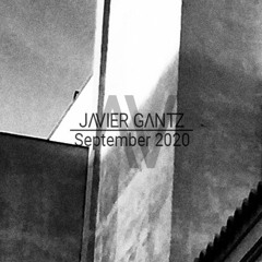 Javier Gantz | September 2020