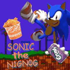 SONIC THE NIGNOG