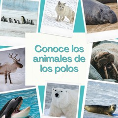 [#Podcast] Conoce los animales de los polos - Meet the animals of the poles