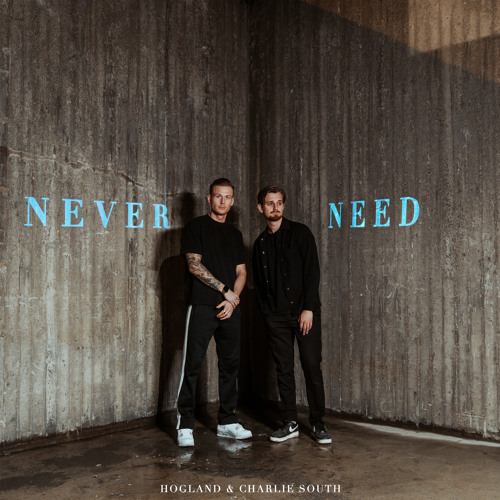 Never Need (feat. Charlie South)