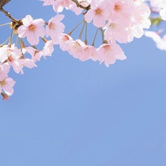 Meg Thomas - China Town