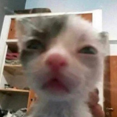 Heartshadder - Meow (Prod. Ohemgitsjo