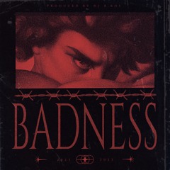 BADNESS (Prod.B.Ros)