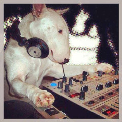 Mixed by SiRi Podcast 2