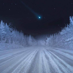 white forest
