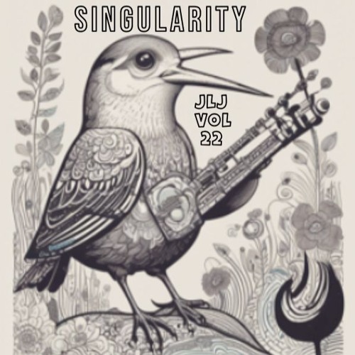 Johnny Lee Johnson Vol 22 - Singularity