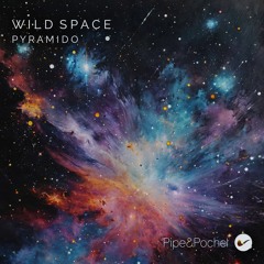 Pyramido - Wild Space (Original Mix) - PAP078 - Pipe & Pochet